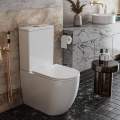 Напольный унитаз Roxen Antares 600185-01 безободковый белый SoftClose