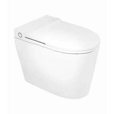 Умный унитаз-биде BRUNNEN WAL BW-2402 Микролифт