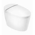 Умный унитаз-биде BRUNNEN WAL BW-2502 Микролифт Умный унитаз-биде BRUNNEN WAL BW-2502 Микролифт