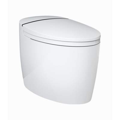 Умный унитаз-биде BRUNNEN WAL BW-2502 Auto open/close
