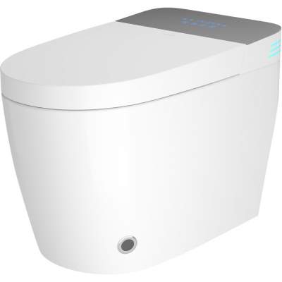 Умный унитаз Roxen Smart Turbo 670300-02 41x68 с функцией биде и импульсным смывом