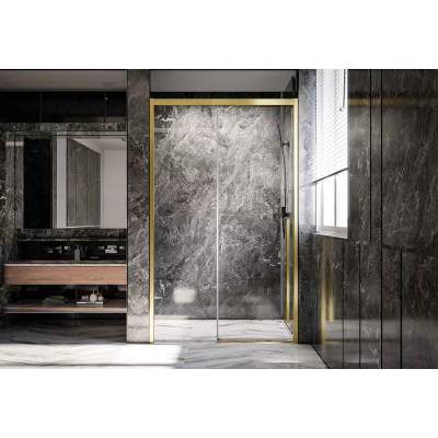 Душевая дверь Veconi Premium Trento PTD-30G 120x200 прозрачные стекла / профиль брашированное золото