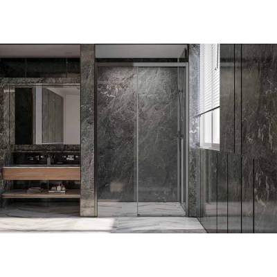 Душевая дверь Veconi Premium Trento PTD-30GR 120x200 прозрачные стекла / профиль брашированный графит