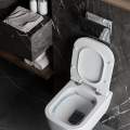 Инсталляция Roxen StounFix Dual Fresh 710200