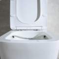 Унитаз-компакт Amore di Mare Tronto N900 36,5x65 сиденье Duroplast, микролифт, белый