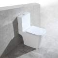 Унитаз-компакт Amore di Mare Tronto N900 36,5x65 сиденье Duroplast, микролифт, белый