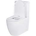 Напольный унитаз Roxen Antares 600185-01 безободковый белый SoftClose