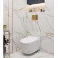 Умный унитаз-биде BRUNNEN WAL BW-2401 Микролифт