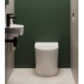 Умный унитаз-биде BRUNNEN WAL BW-2402 Auto Open/Close