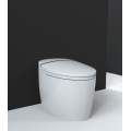 Умный унитаз-биде BRUNNEN WAL BW-2502 Auto open/close