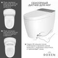 Умный унитаз Roxen Smart Turbo 670300-02 41x68 с функцией биде и импульсным смывом