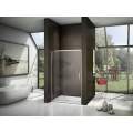 Душевая дверь GoodDoor LATTE WTW-110-C-WE 110x185